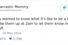 funniest-parenting-tweets-2016-15-585282a5b9496-png__700